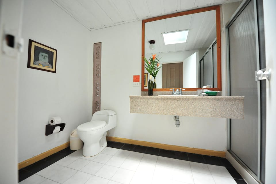 Bathroom | Shower, rainfall showerhead, towels, soap