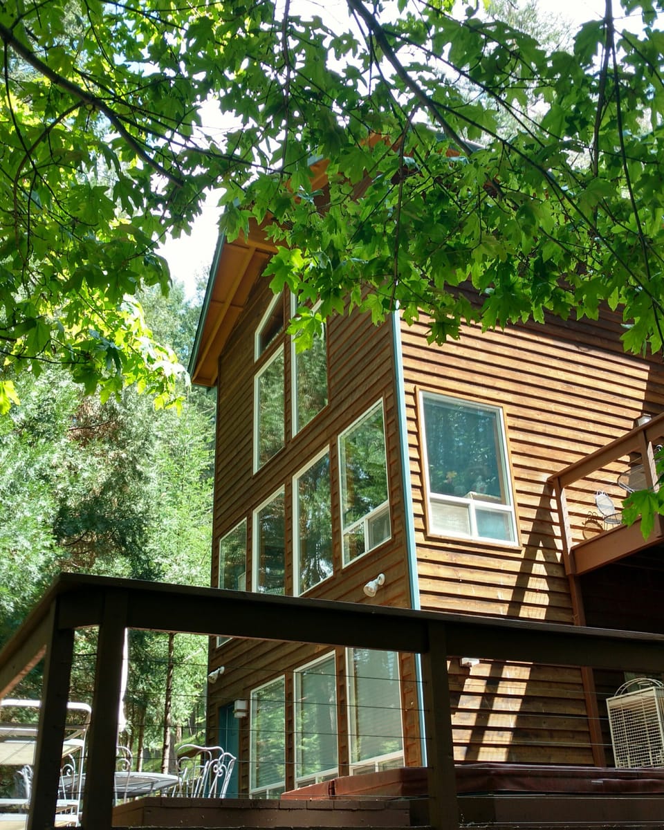 Nestled in the Forest