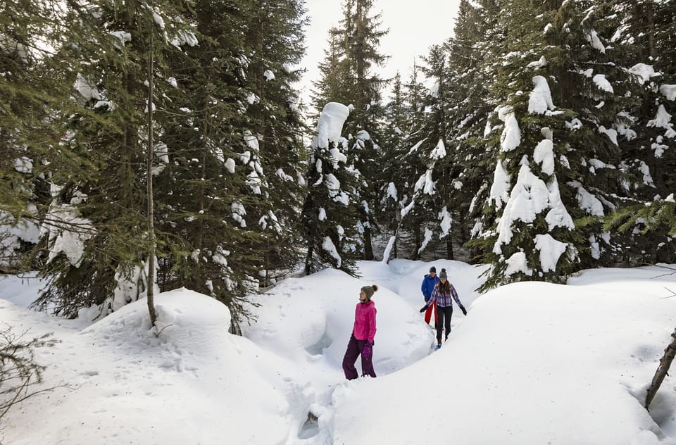 Snow and ski sports
