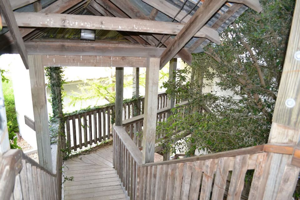 Walkway up to the tree house