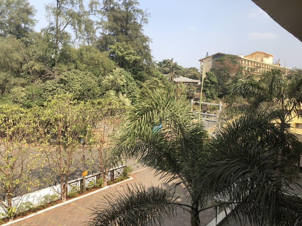 View from room