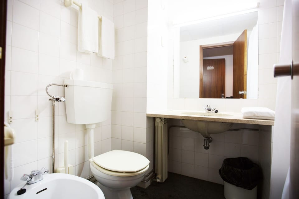 Hair dryer, bidet, towels