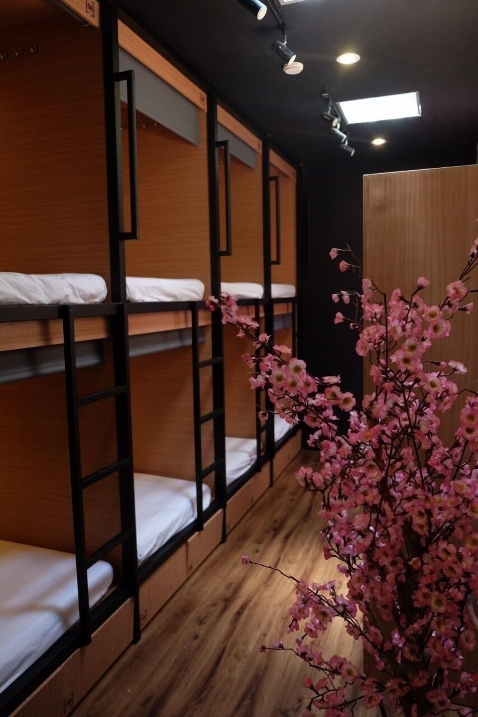 Basic Shared Dormitory, Mixed Dorm | Blackout drapes, free WiFi, bed sheets