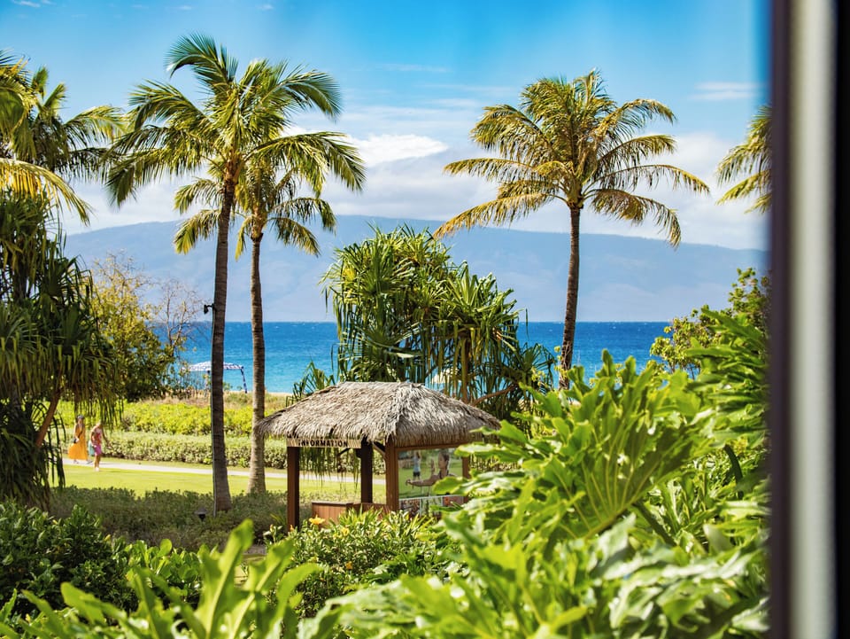 Enjoy a serene ocean view framed by lush tropical greenery, creating a perfect backdrop for a relaxing island getaway.