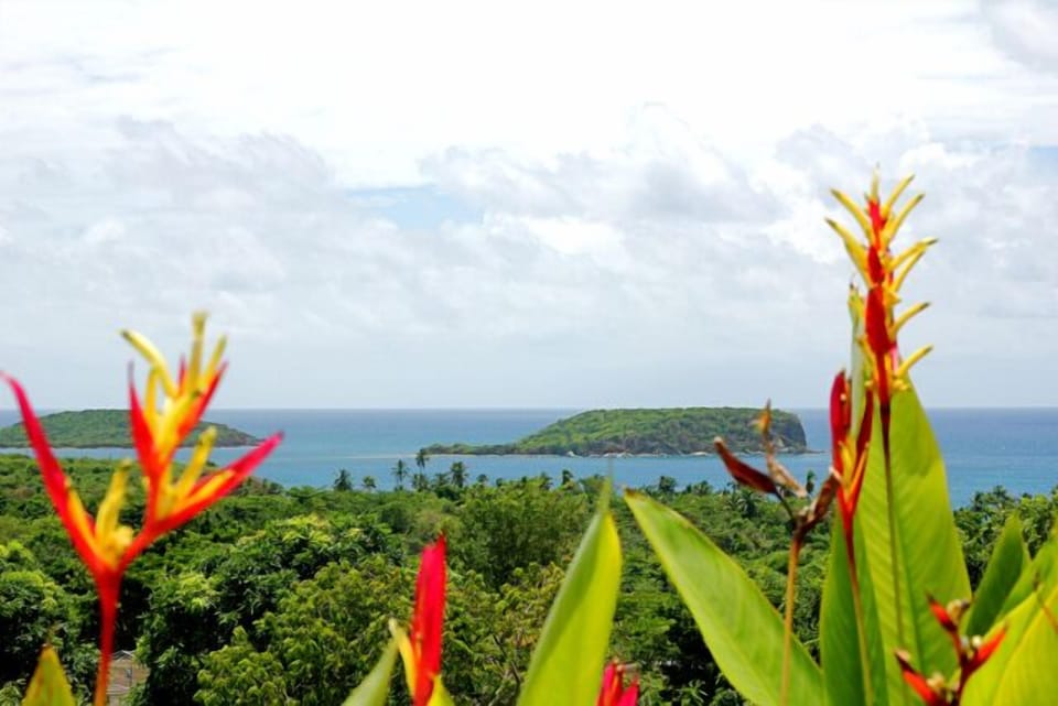 View of Esperanza from the pool
