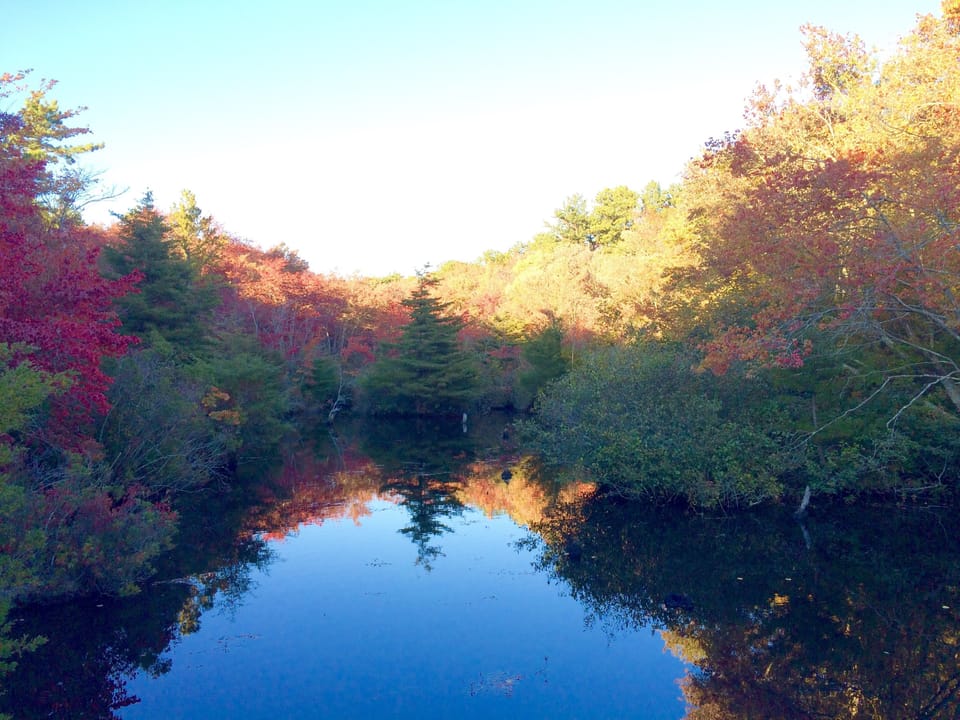 Quogue wildlife preserve 