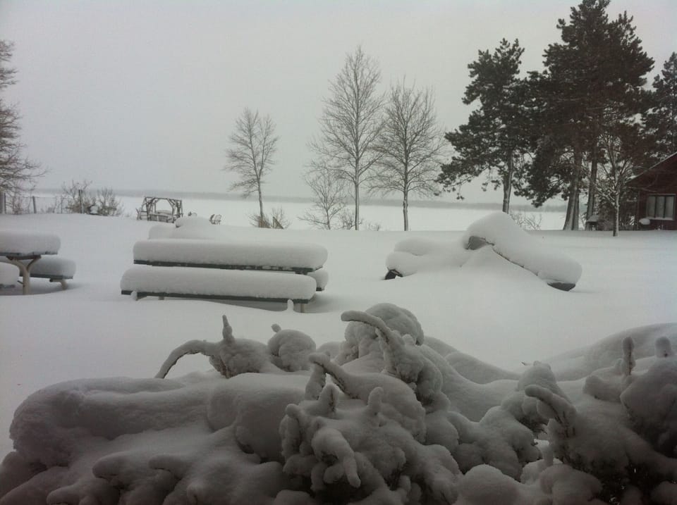 Beautiful in the winter when we are lucky enough to have any snow...