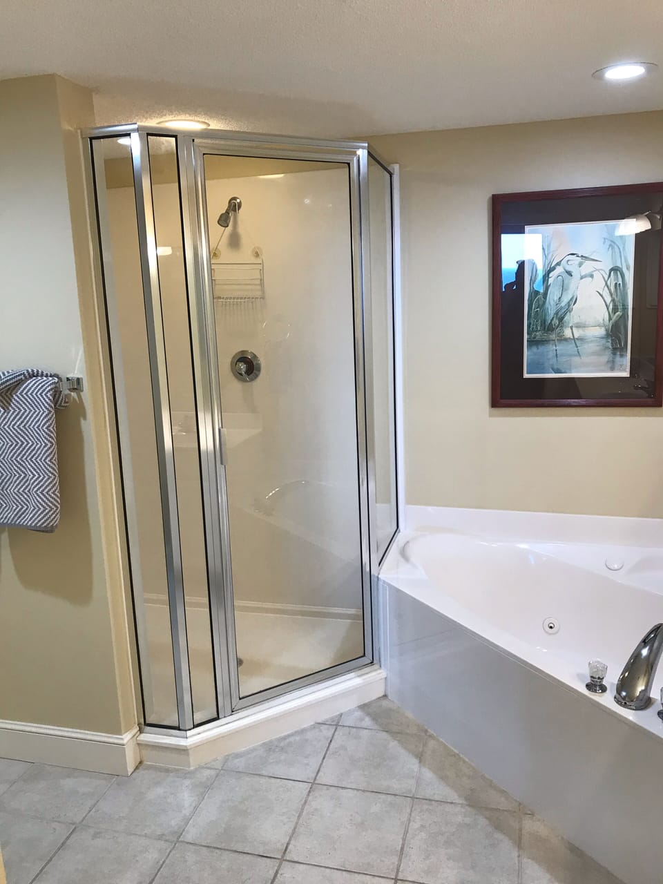 Master walk in shower and garden tub