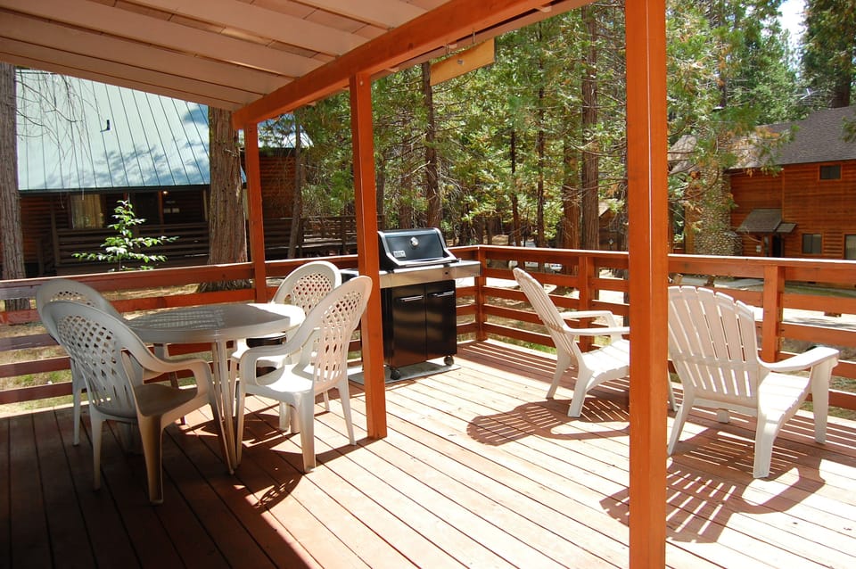 Front deck with propane BBQ
