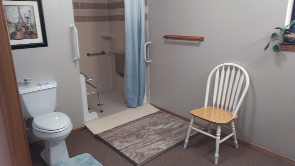Higher toilet - shower with movable seat - wheelchair accessible