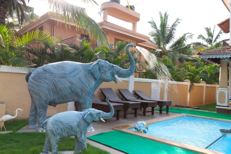 Portuguese style villa with private swimming pool and elephant shower