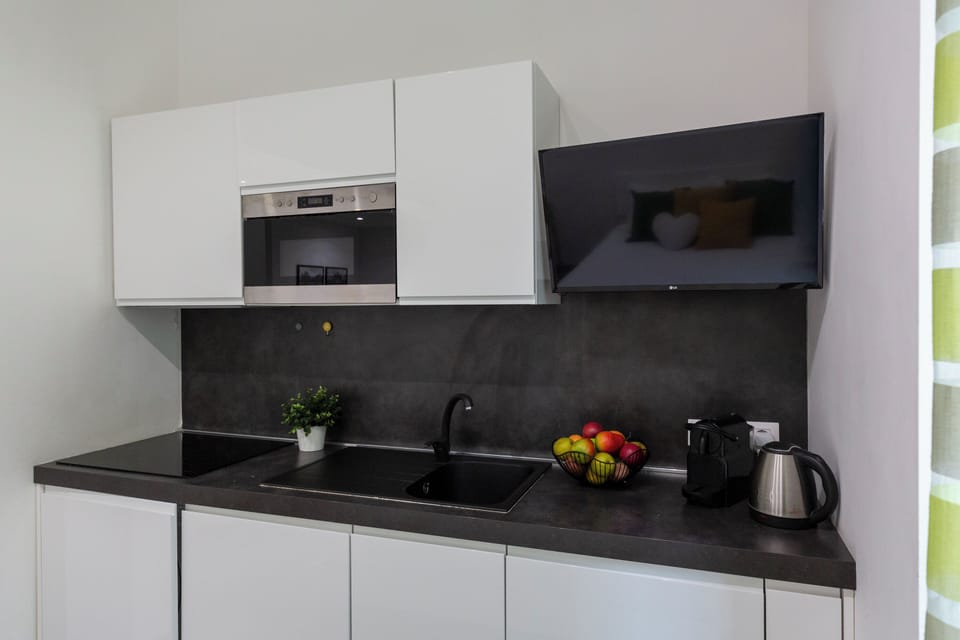 City Studio | Private kitchen | Fridge, microwave, oven, stovetop