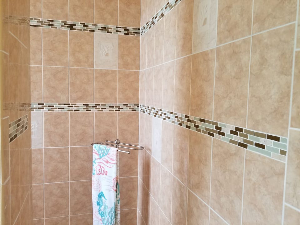 Master bath walk in shower