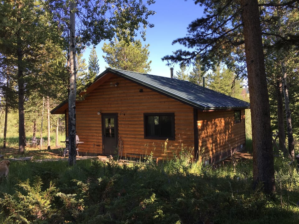 Cabin in the Summer