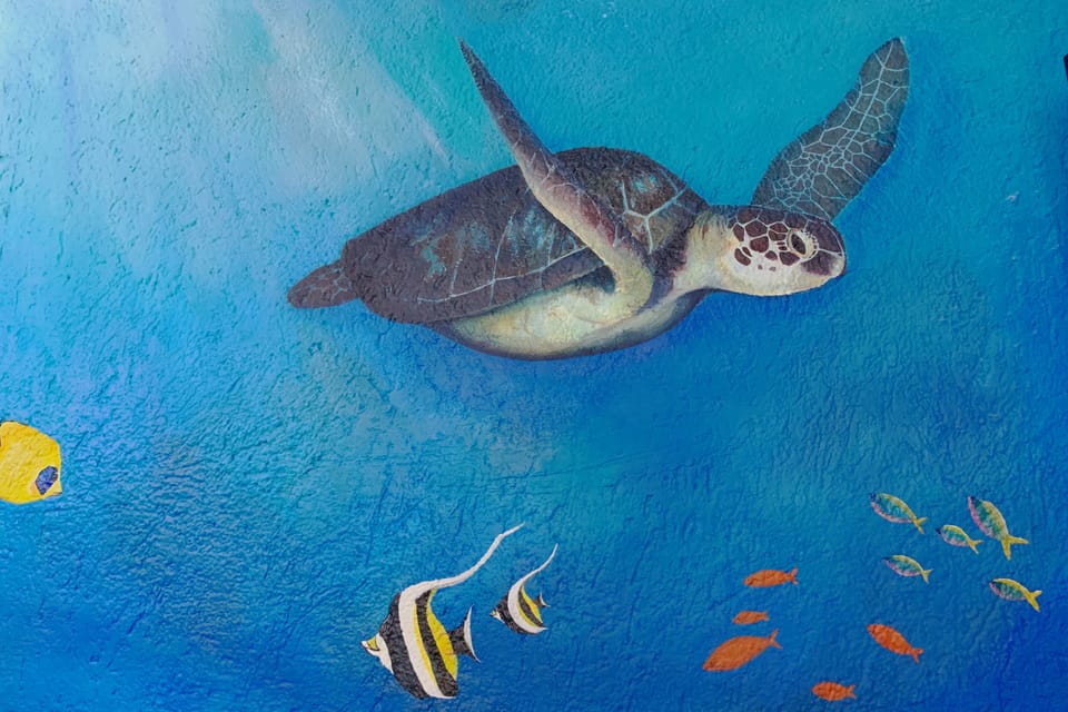Hand painted turtle mural