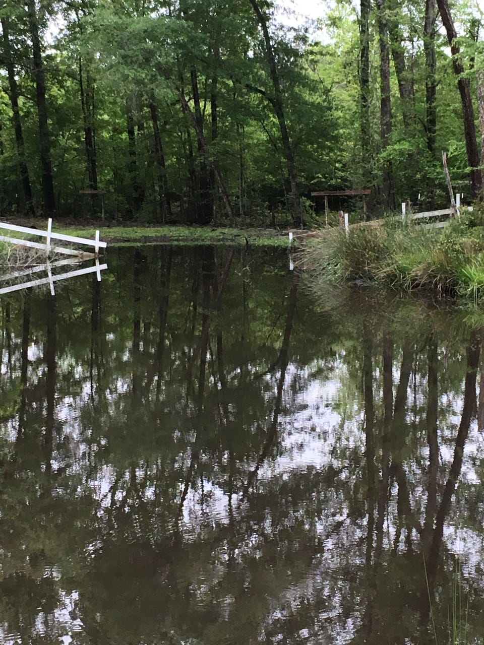 Pond with fishing available.