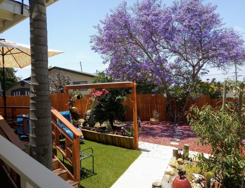 Relaxing outdoor deck
