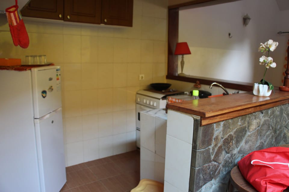 Apartment | Private kitchen | Fridge, microwave, oven, stovetop