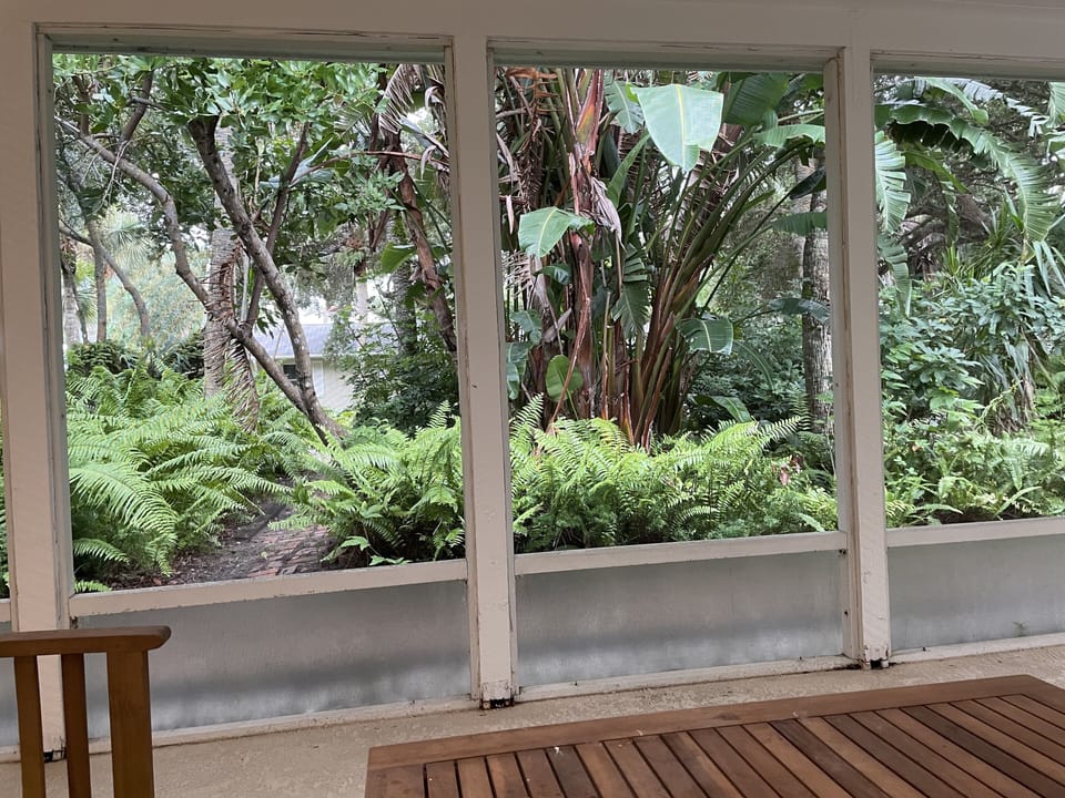 View from front porch