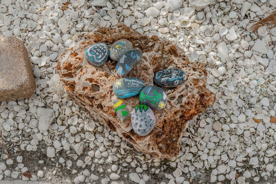 Fun painted rocks!