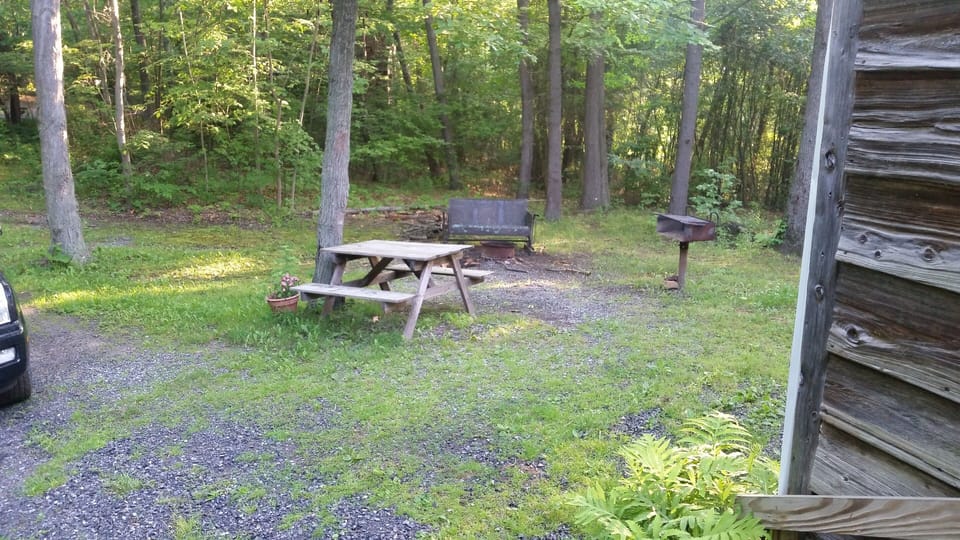 campfire area with picnic table and charcoal grill