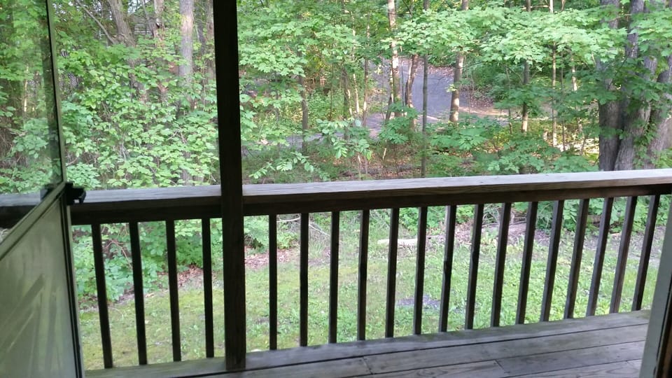 view from porch