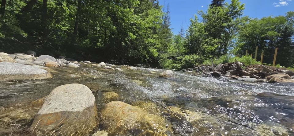 clear, cool water for heat relief