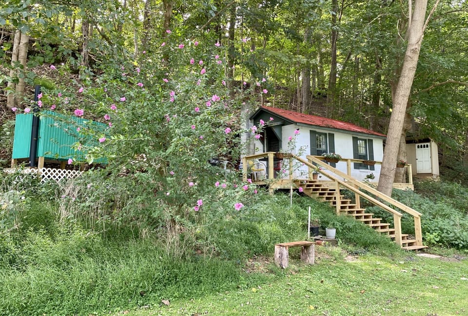 a comfortable place to eat or read while watching wildlife on the river