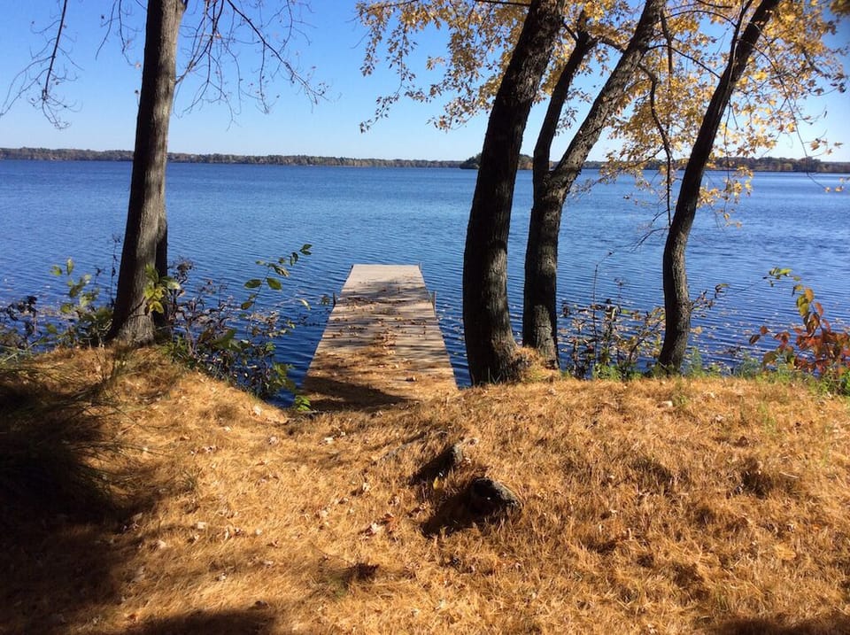 White Pine #3 in Fall.