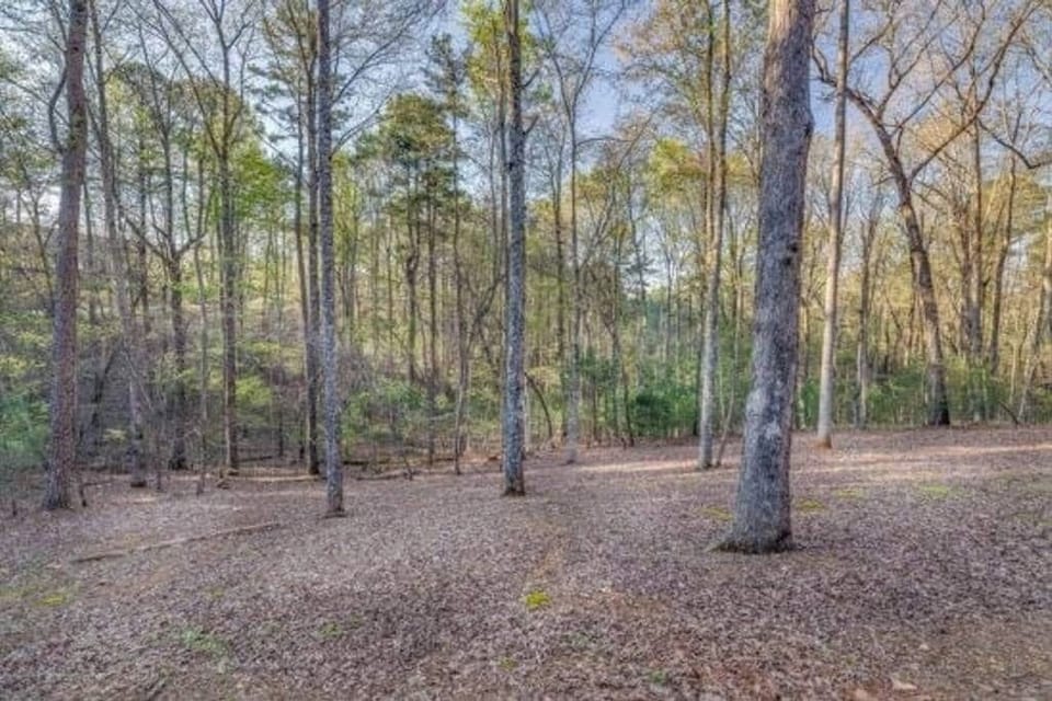 Wooded back yard to enjoy