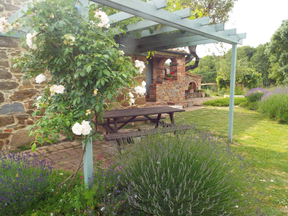 Outdoor Pergola and Table