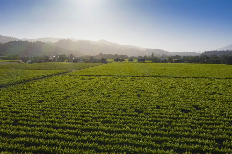 Unparalleled sunsets.