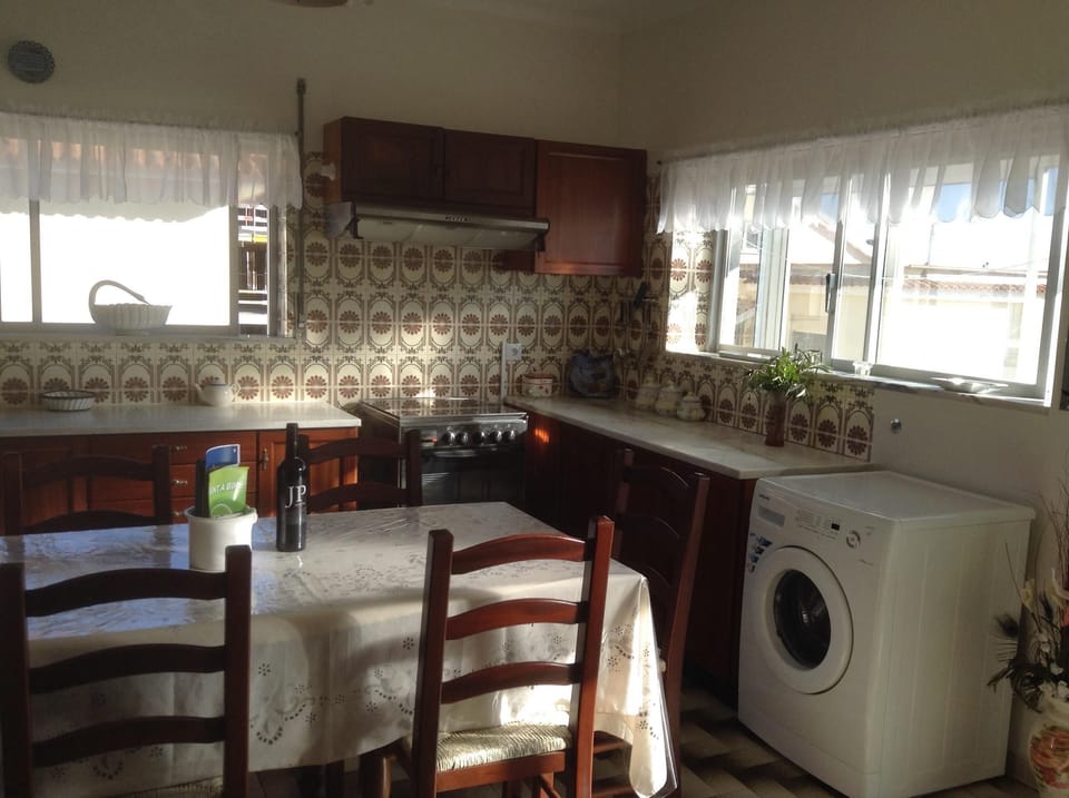 Antique traditional Portuguese style kitchen with new washer machine. 
