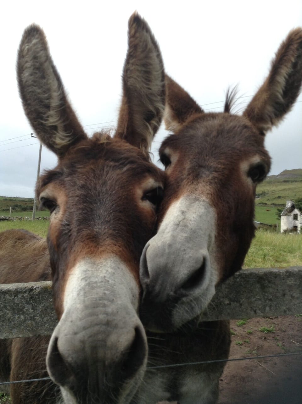 Some friendly faces!
