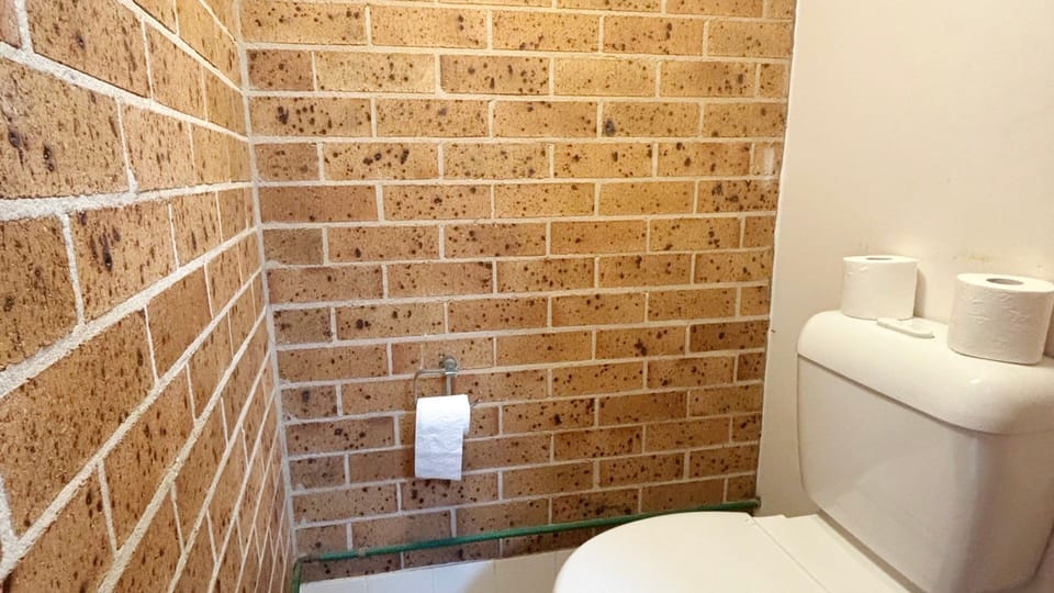 Separate toilet downstairs. 