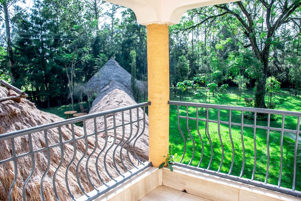 Family House, 3 Bedrooms | Terrace/patio
