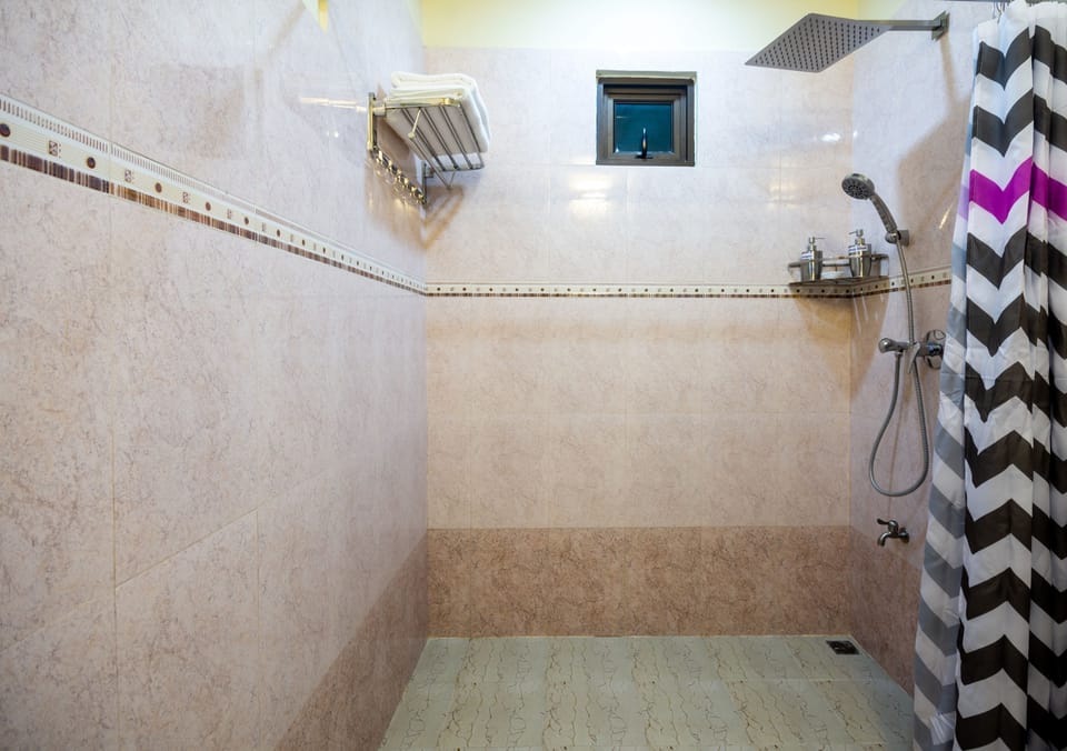 Shower, free toiletries, hair dryer, bidet