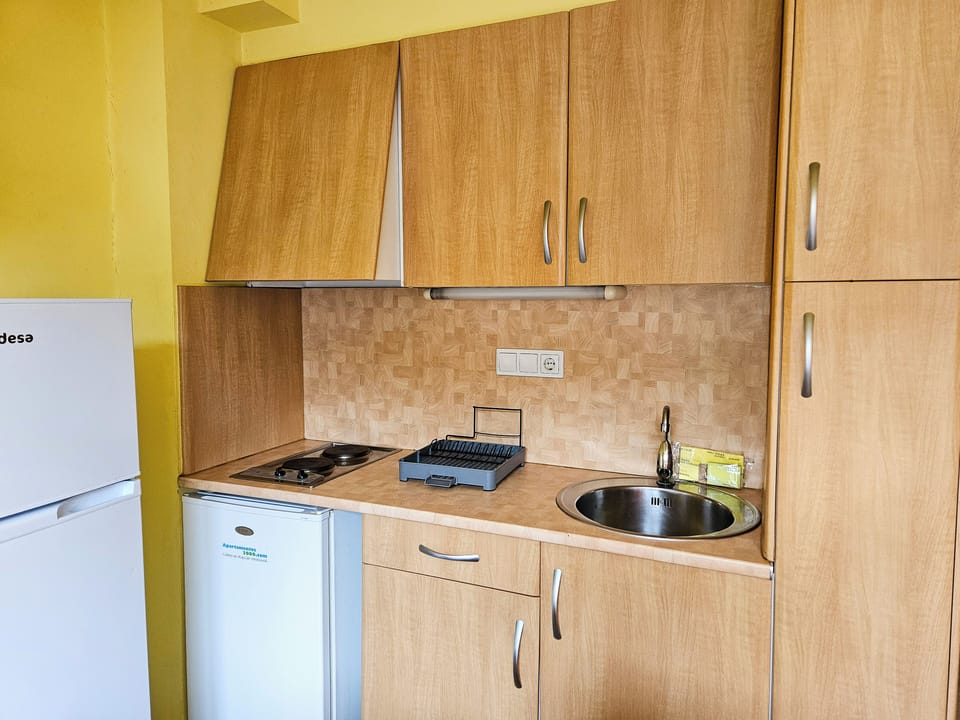 Basic Apartment, 1 Bedroom | Private kitchen | Fridge, microwave, stovetop, espresso maker