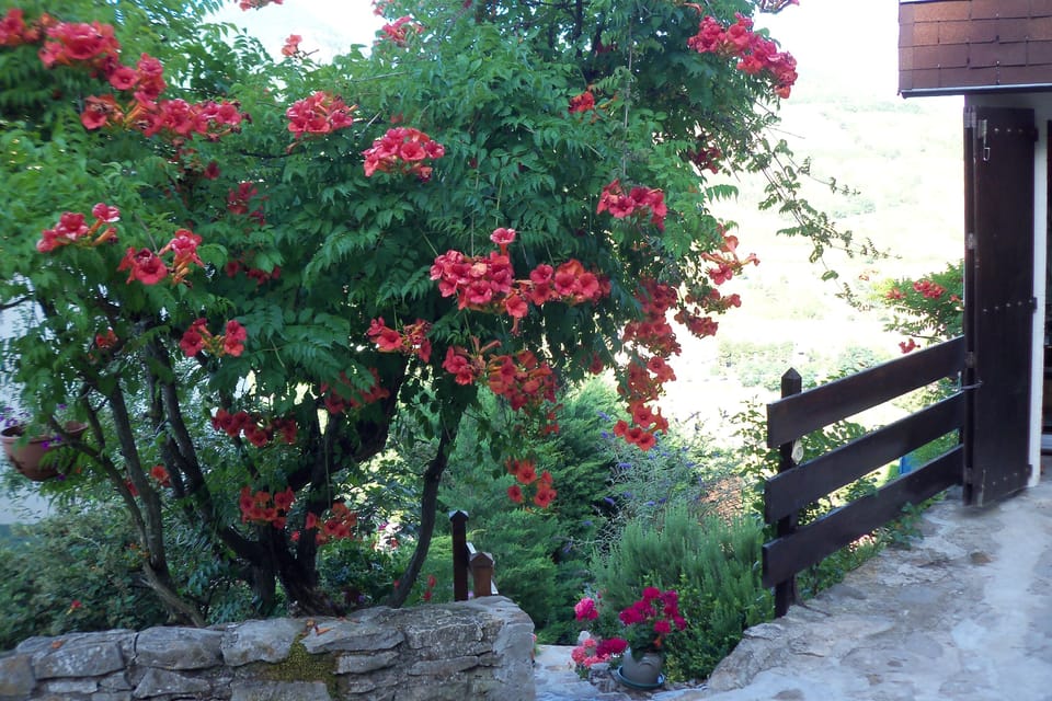 Les Egalieres Bed and Breakfast in Occitanie