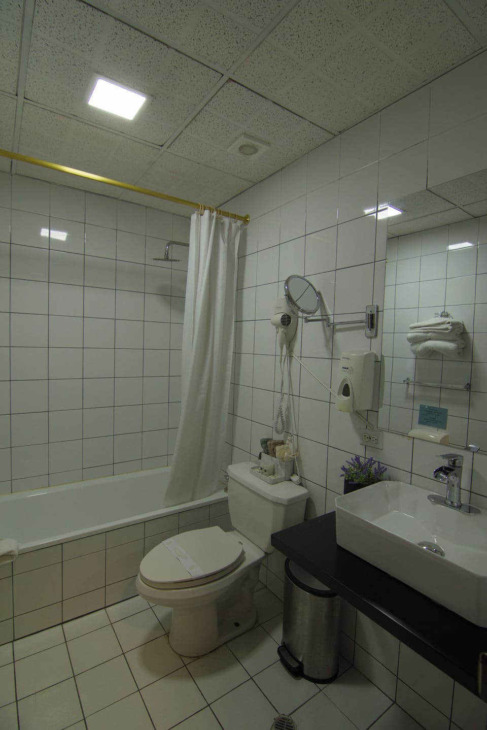 Combined shower/tub, free toiletries, hair dryer, towels