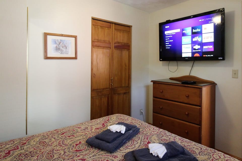 60" flat screen smart Roku TV in the bedroom for your viewing pleasure