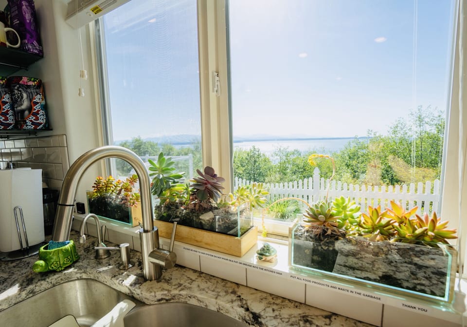 Look out  from the kitchen 