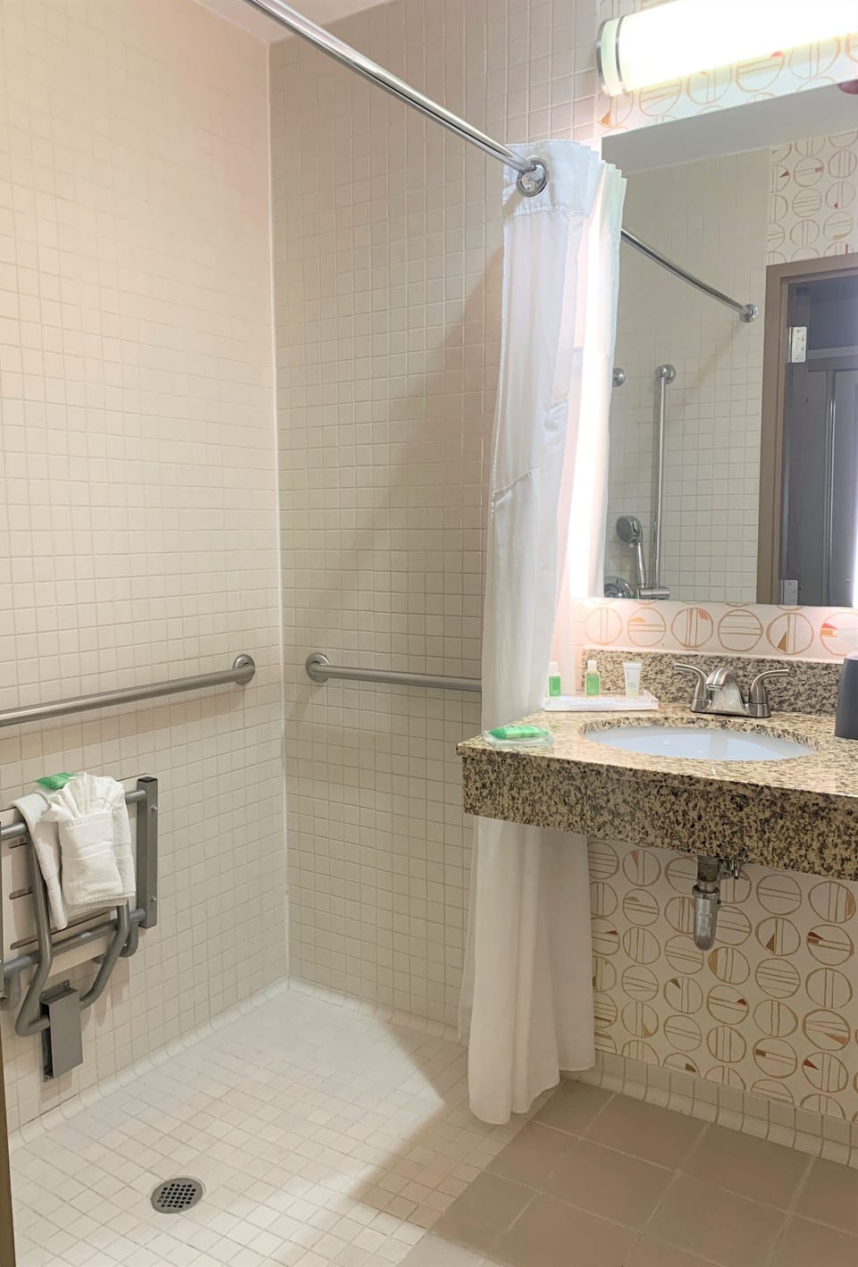 Standard Room, 2 Queen Beds, Accessible (Communications Accessible) | Bathroom | Eco-friendly toiletries, hair dryer, towels