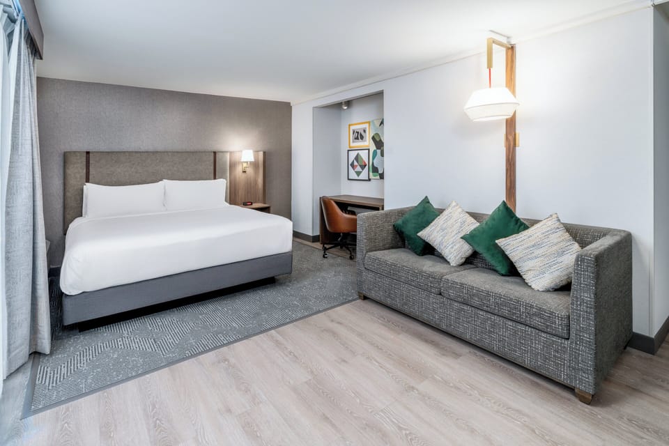 Premium Room, 1 King Bed | Hypo-allergenic bedding available, down comforters, desk