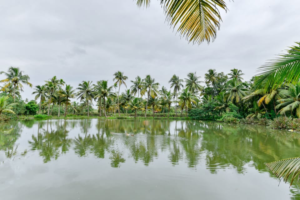 Lake