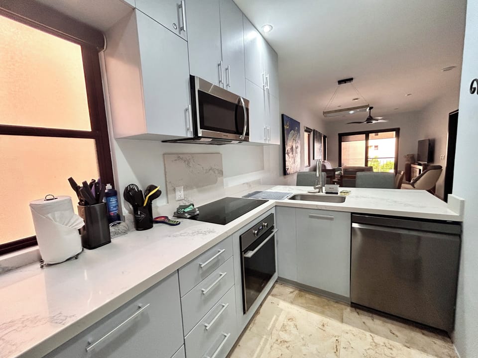 Deluxe Apartment | Private kitchen | Full-size fridge, microwave, oven, stovetop
