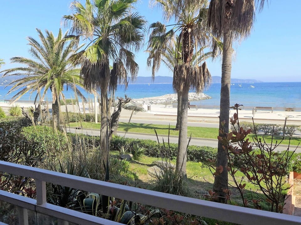 Property, Tree, Shore, Real Estate, Palm Tree, Sky, Ocean, Vacation, Coast, Sea