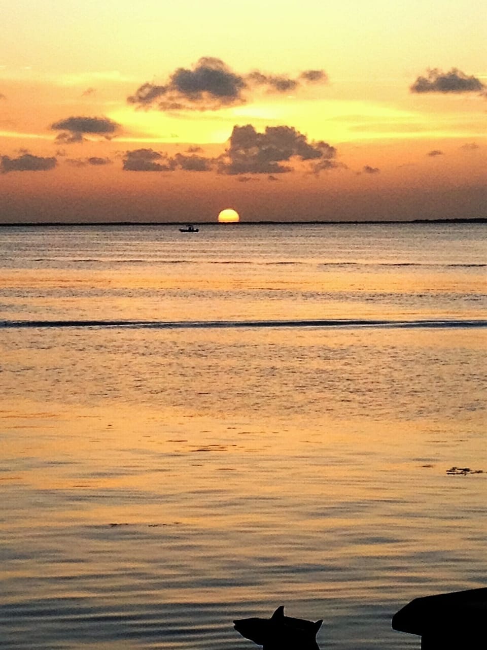 Wouldn't you love to be here?