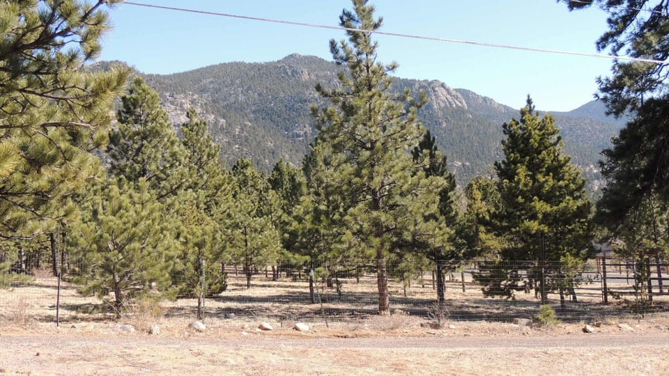 From the front yard