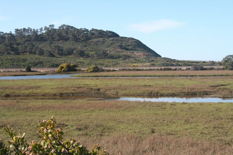 Nearby Lagoon View